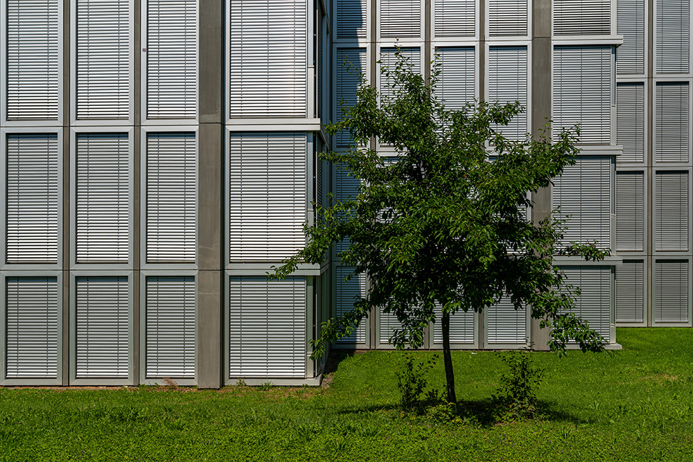 Schulanlage Obstgarten in Stäfa