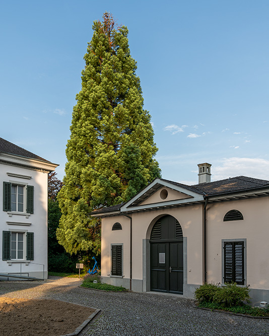 Villa Liebegg in Männedorf