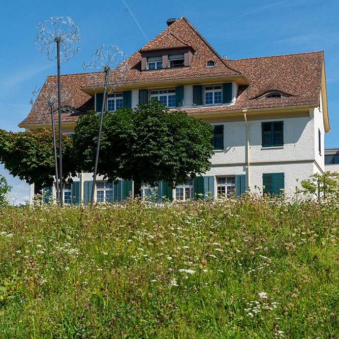 Hohenegg Meilen