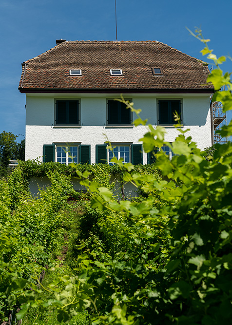 Aebleten in Obermeilen