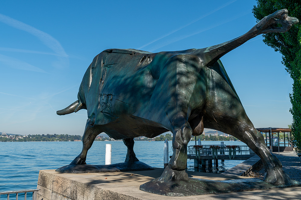 Stier von Franz Fischer 