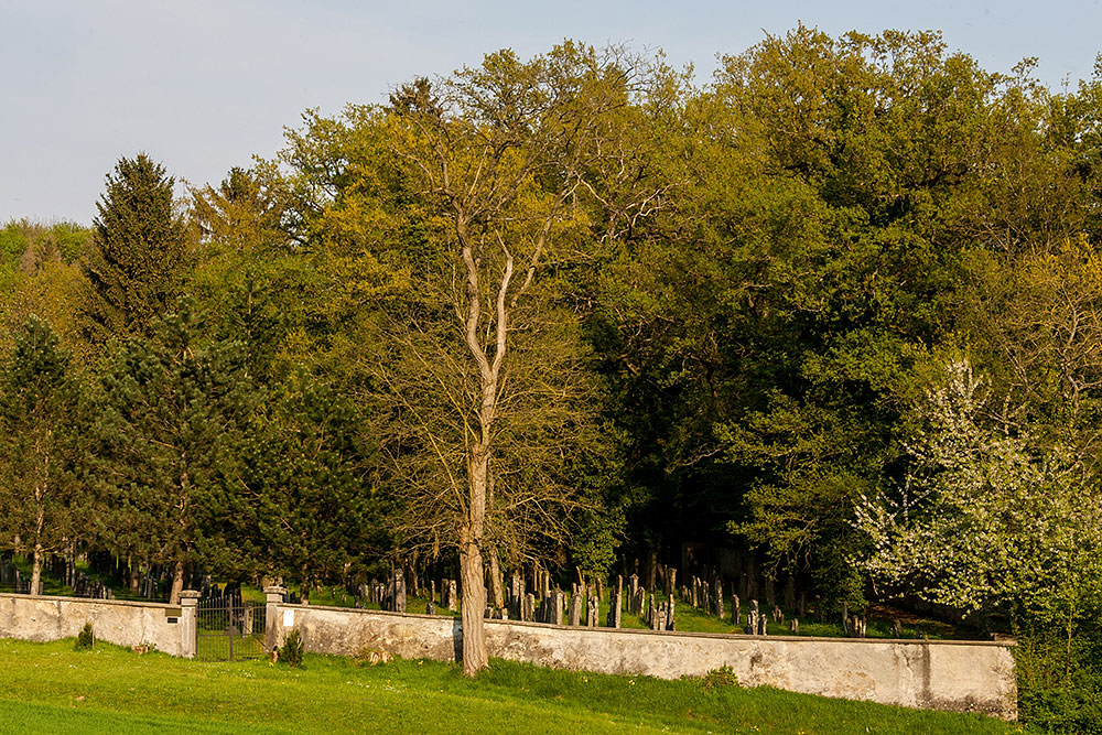 Jüdischer Friedhof in Endingen