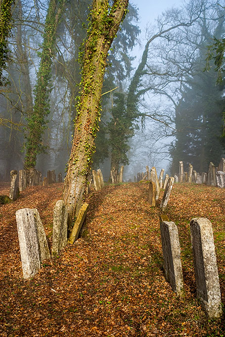 Jüdischer Friedhof in Endingen