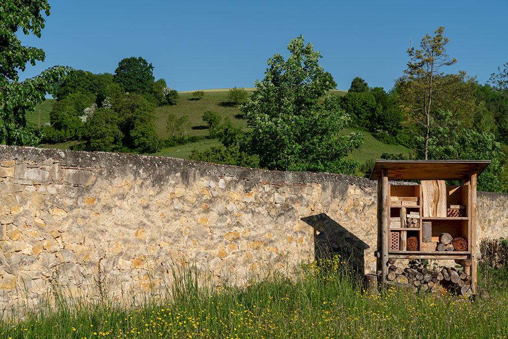 Kirchhofmauer und Insektenhotel in Wölflinswil