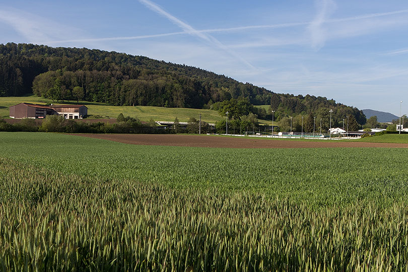 Stade à Develier