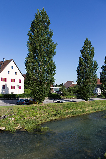 Allaine à Boncourt