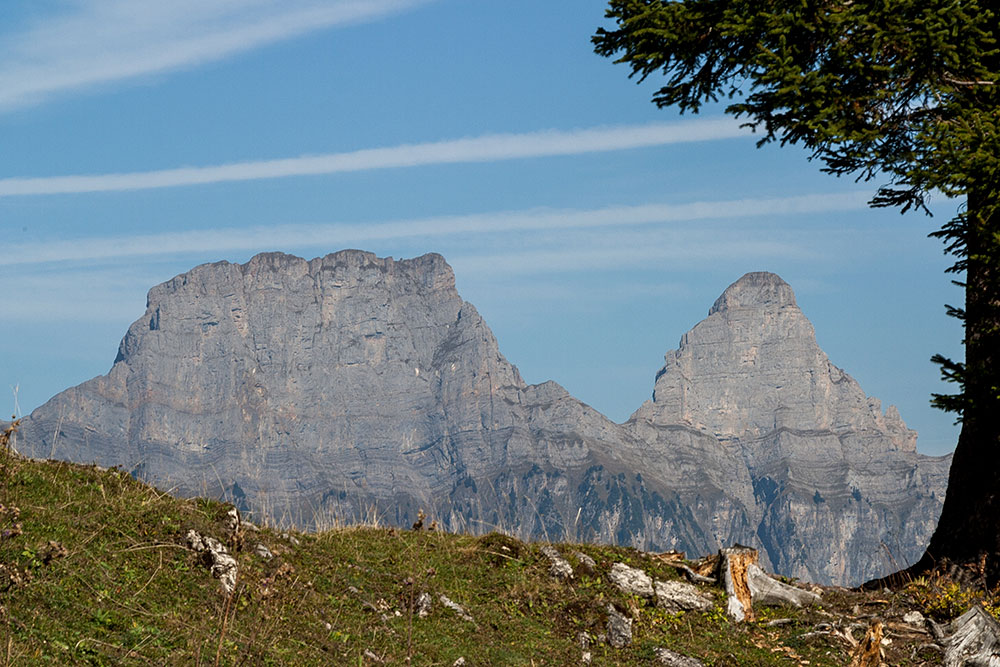 Brisi und Zuestollen