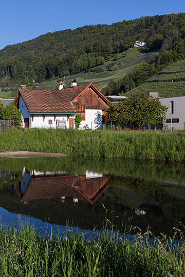 Entenweiher in Berneck