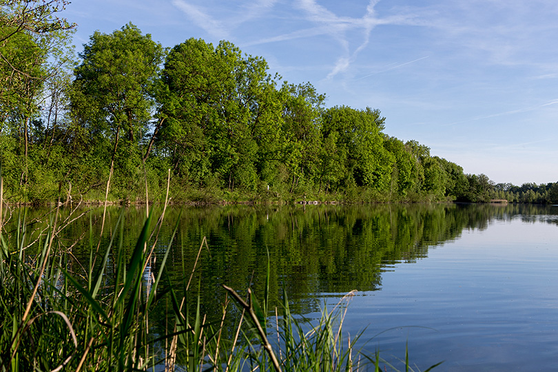 der alte Rhein in Diepoldsau