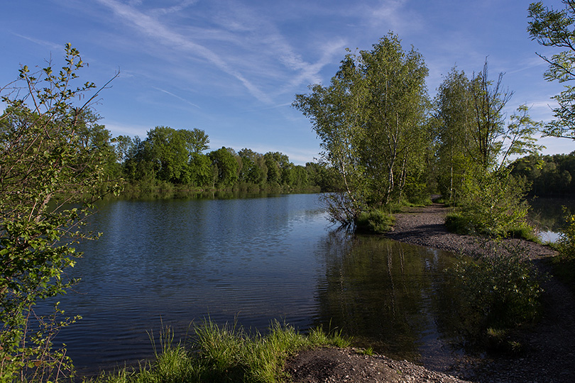 der alte Rhein in Diepoldsau