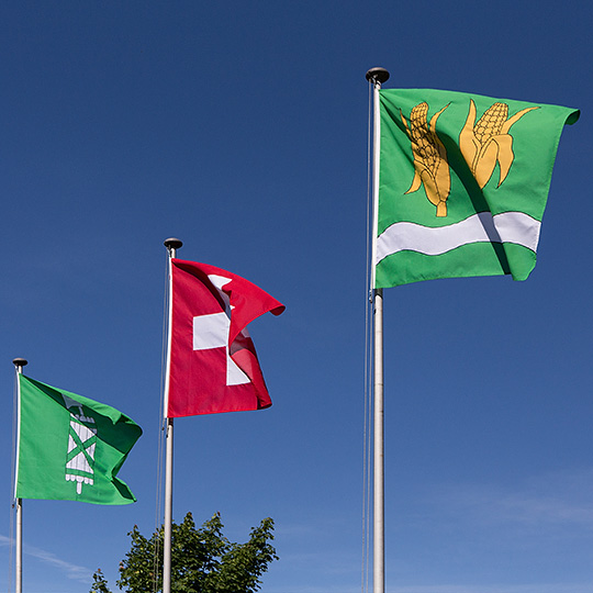 Flaggen St. Gallen, Schweiz, Diepoldsau