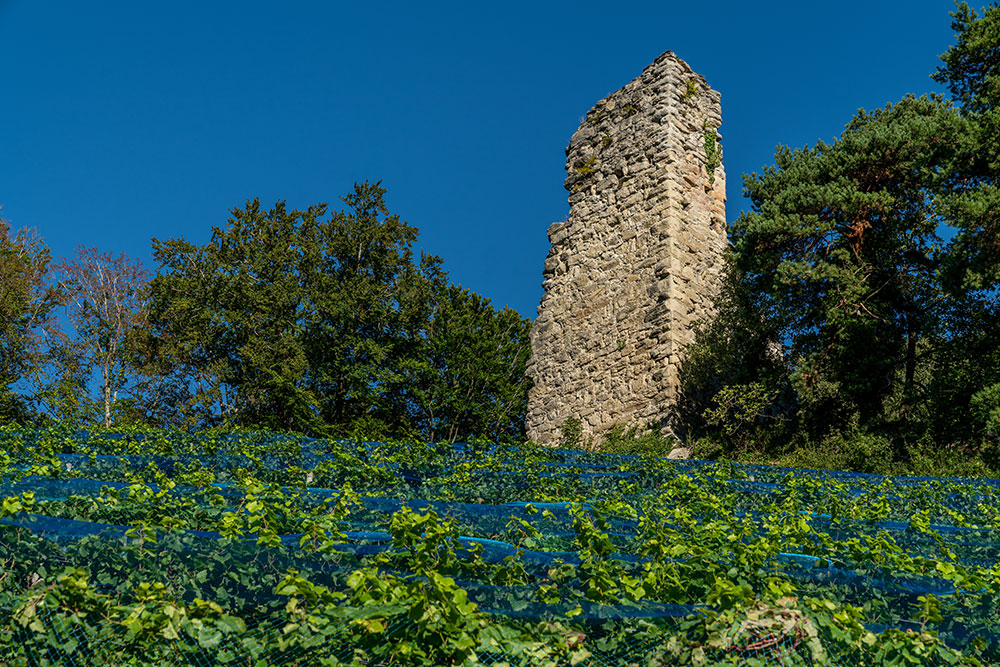 Ruine Grimmenstein