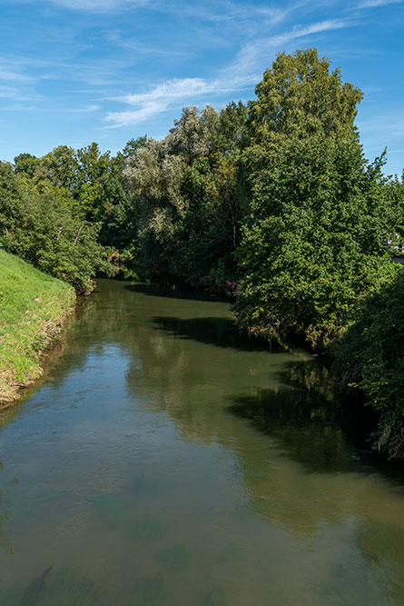 Alter Rhein