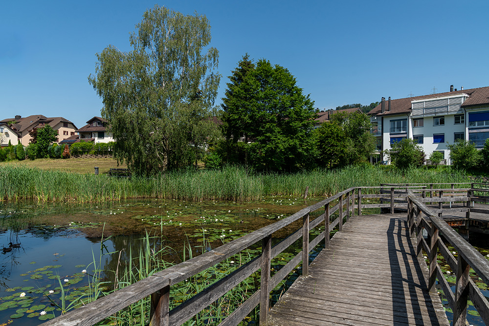 Rietstuckweiher