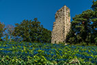 St. Margrethen-059