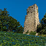St. Margrethen-060