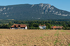 Zuchwil-113