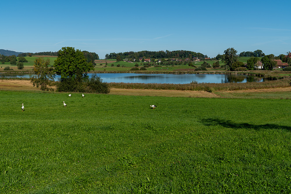 Lützelsee