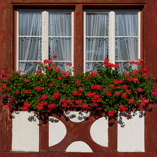 Fenster mit Blumenschmuck