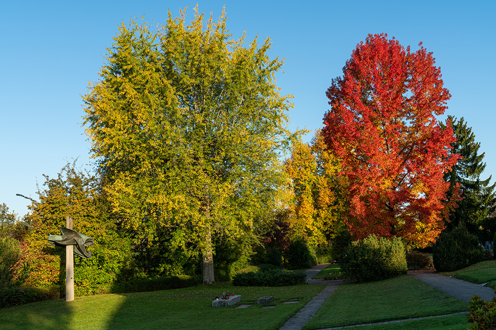 Friedhof Zumikon