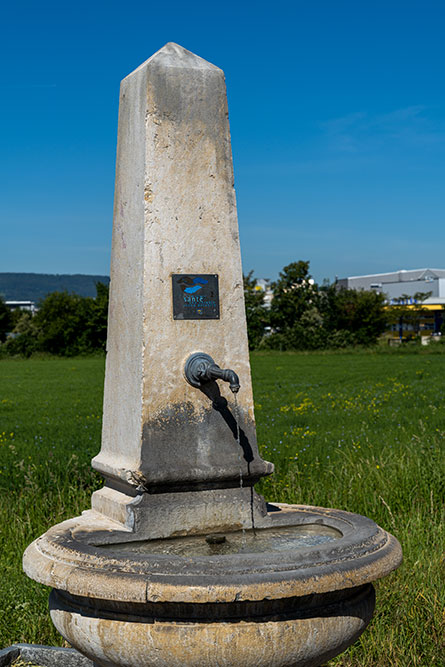 Brunnen in Schlieren