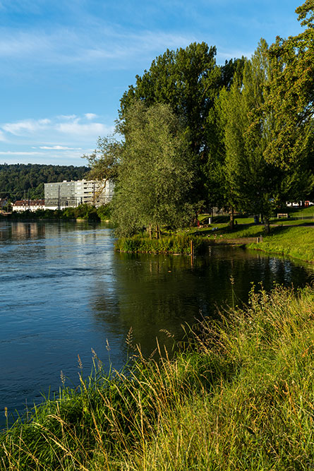 Limmat in Dietikon