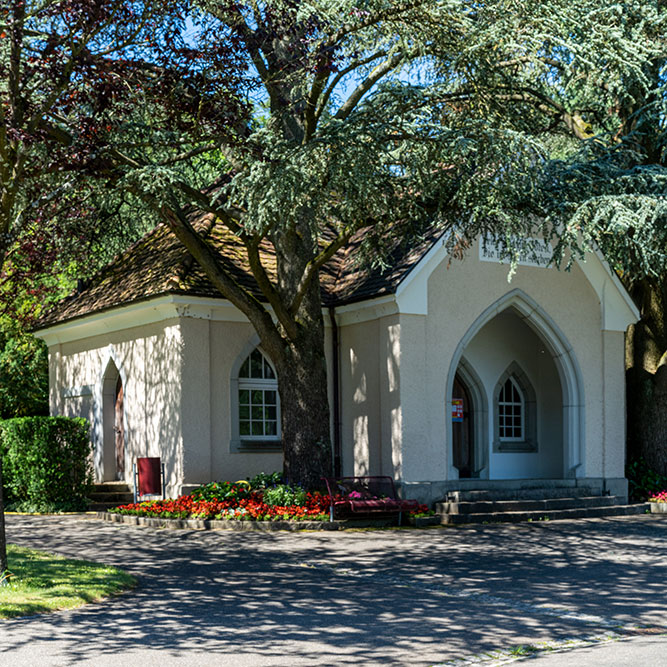 Friedhof in Dietikon