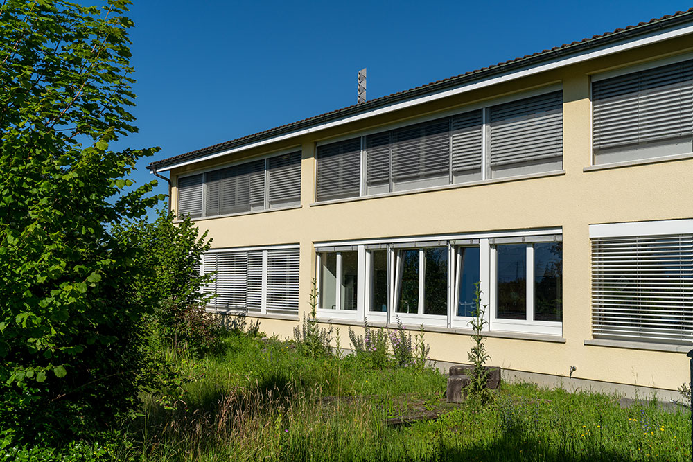 Schule Hadlikon