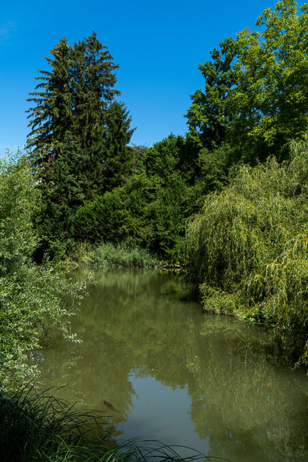 Weiher beim Chämptnerbach