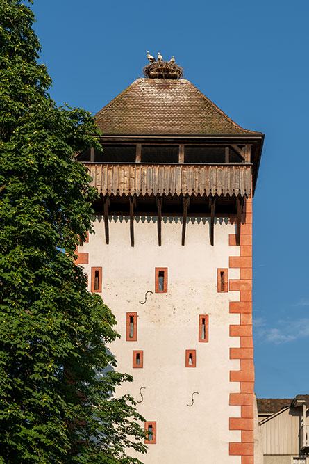 Storchennestturm in Rheinfelden