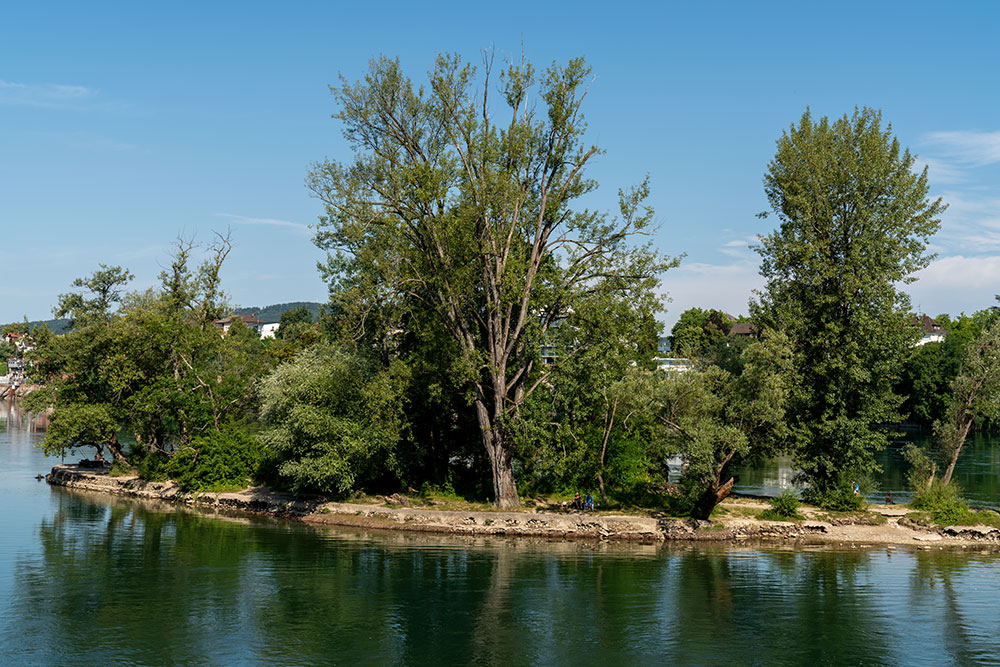 Inseli in Rheinfelden