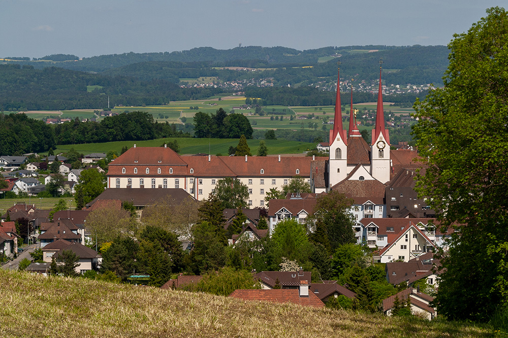 Kloster Muri