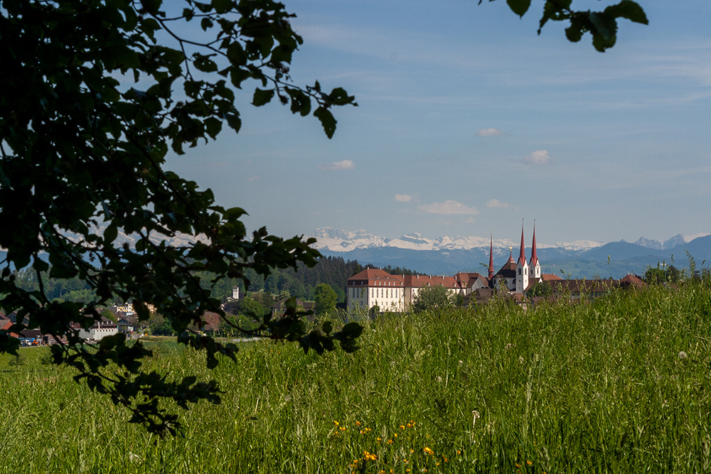 Kloster Muri