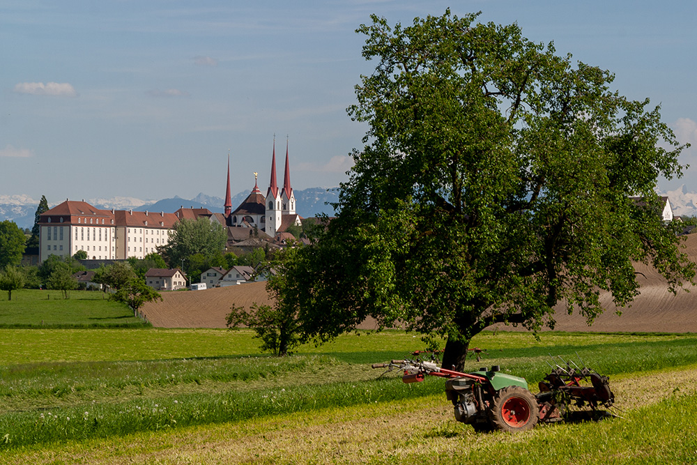 Kloster Muri