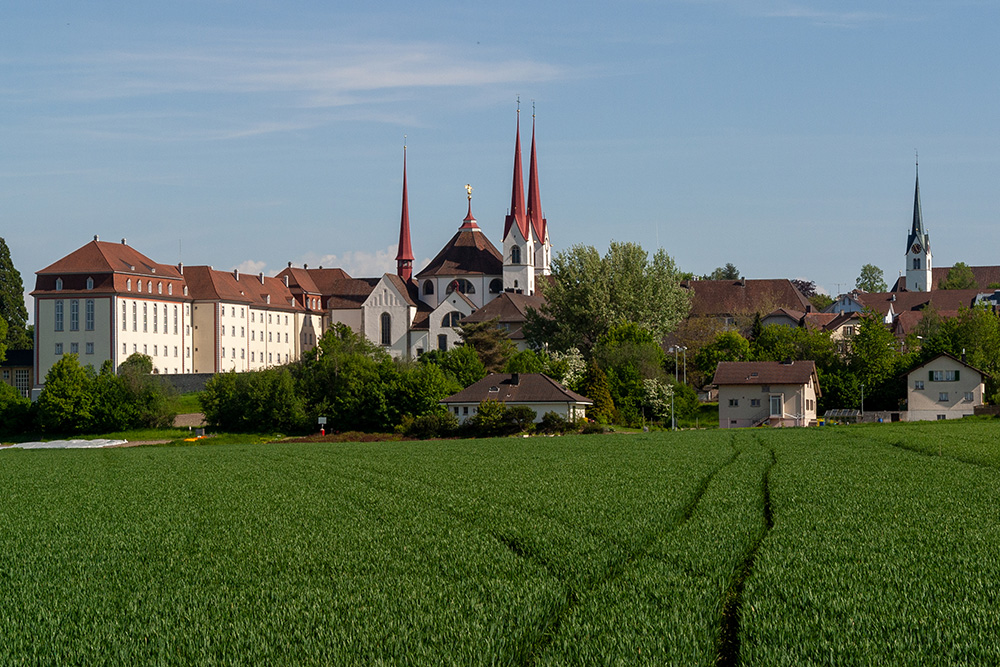 Kloster Muri