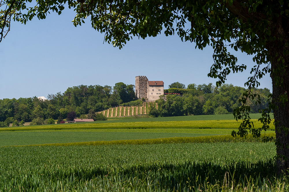 Schloss Habsburg