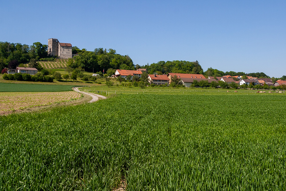 Schloss Habsburg