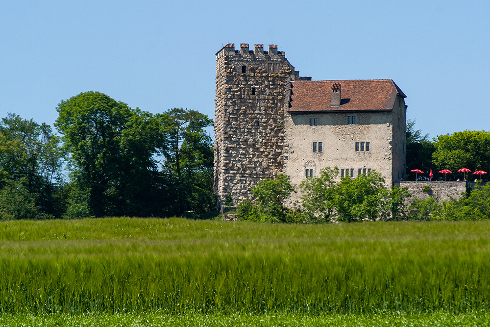 Schloss Habsburg