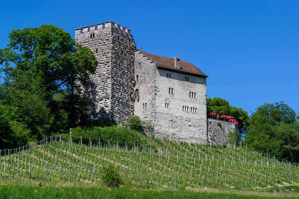 Schloss Habsburg