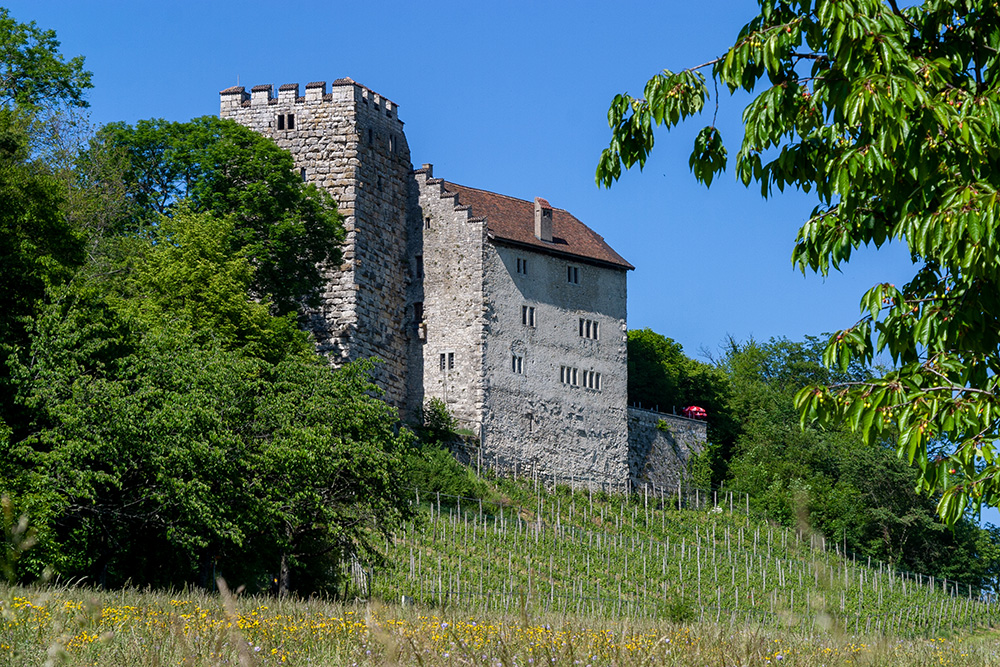 Schloss Habsburg