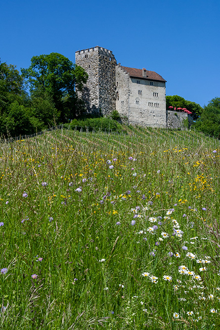 Schloss Habsburg