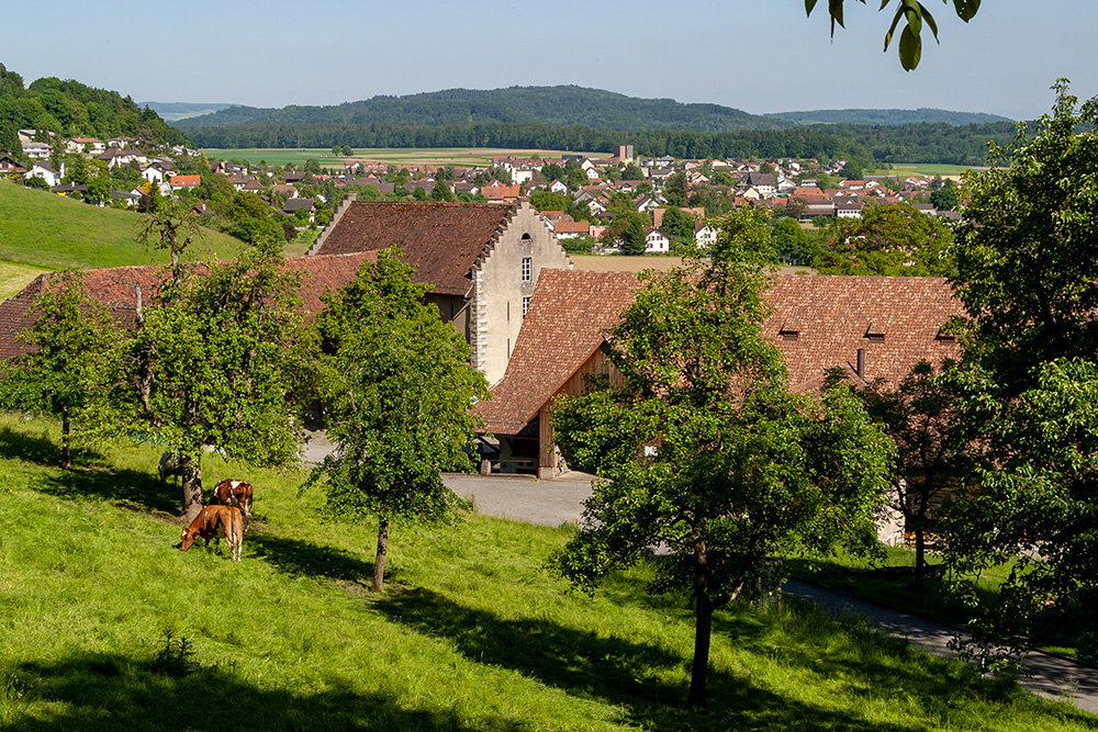 Schlossgut Wildegg