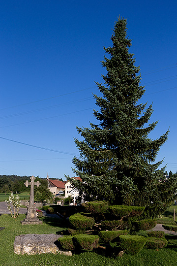 Route Principale à Bressaucourt