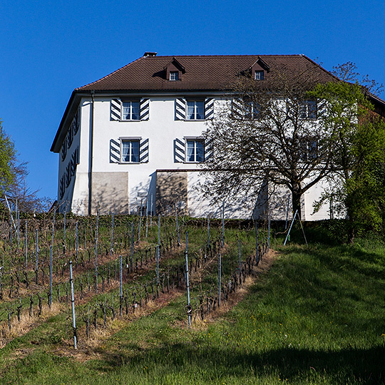 Johanniterkommende in Reiden