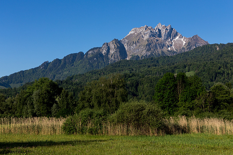 Steinibachried mit Pilatus