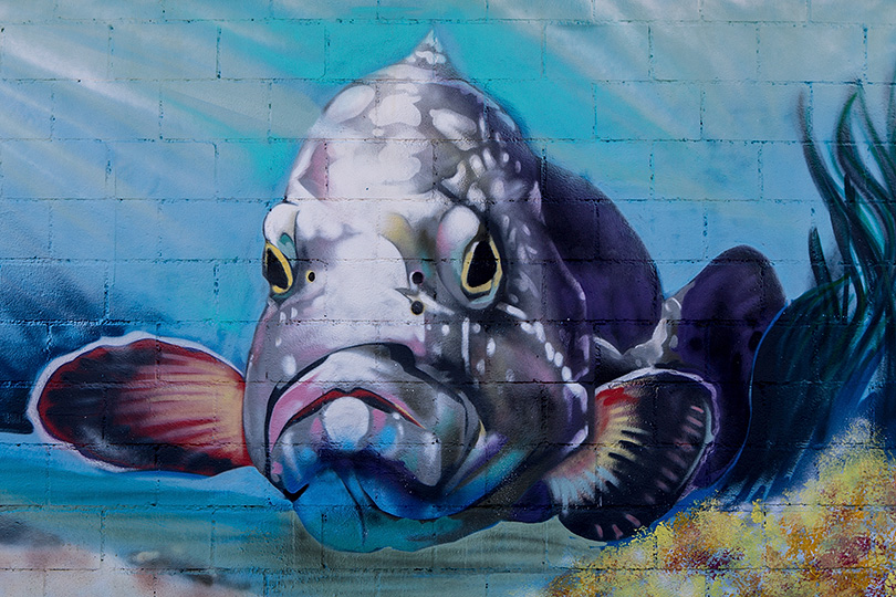 Wandbild Fisch