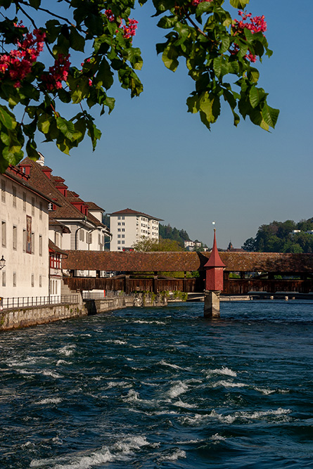 Spreuerbrücke in Luzern