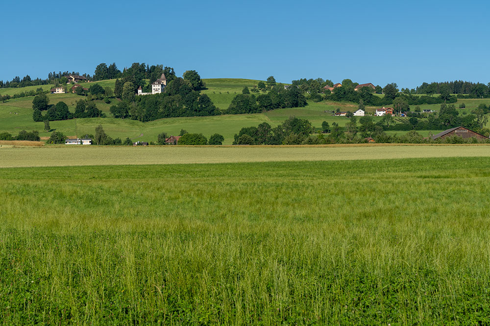 Schloss Tannenfels