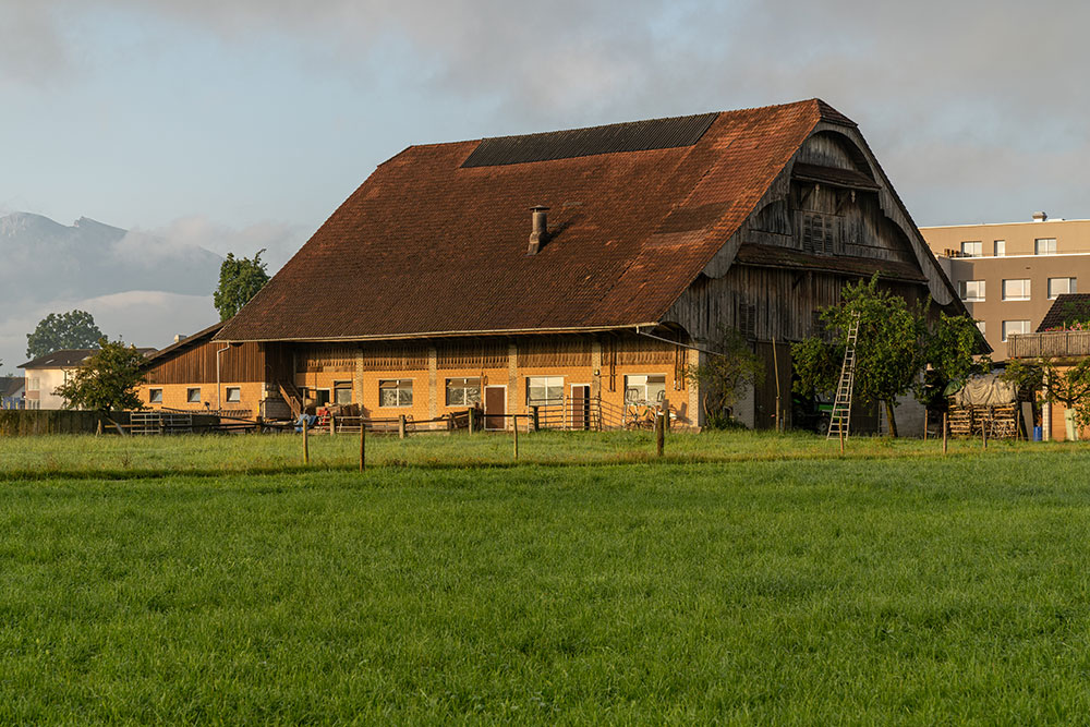 Neuenkirch