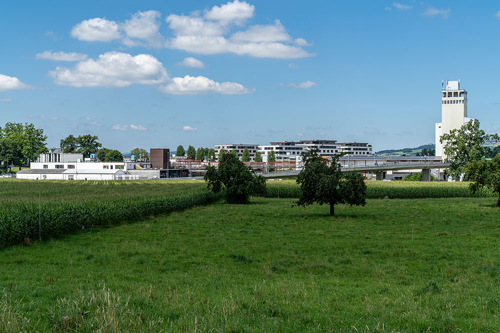 Sempach Station